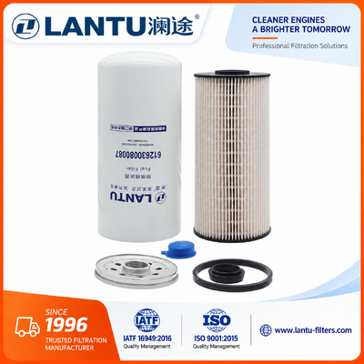 Filtre à gazole de Lantu 612630080087 1000053555 1000422382 fabricant de 1117050B81DM FC71090 R010018